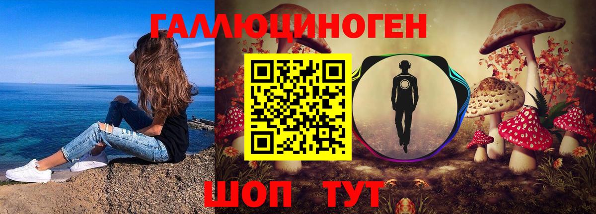 Волоколамск  Псилоцибиновые грибы Psilocybe  Вход с VPN  Галлюциногенные грибы мухоморы 